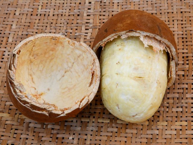 Cupuaçu in natura
